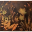 Podzimn podveer, (podzimn listy2), sprej na pltn, 50x60 cm, 2013
