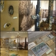 m�j mal� bizonek na v�stav� v J� muzeu/2015